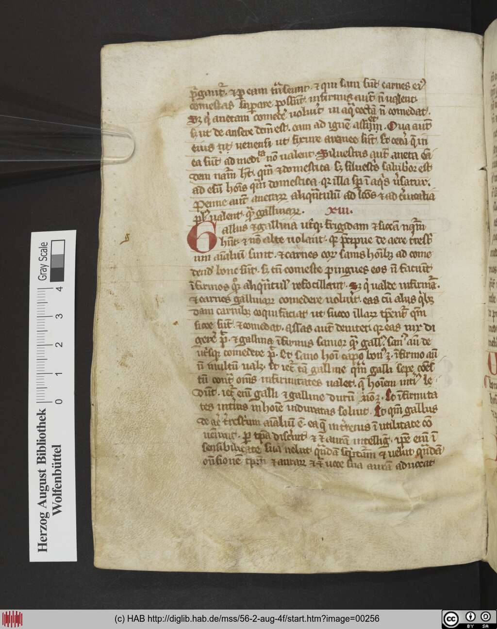 http://diglib.hab.de/mss/56-2-aug-4f/00256.jpg