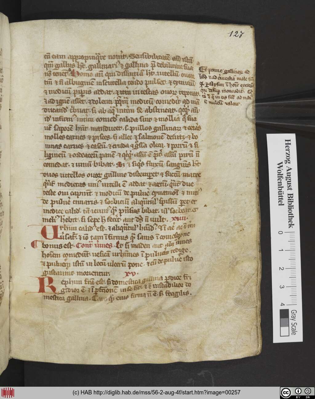 http://diglib.hab.de/mss/56-2-aug-4f/00257.jpg