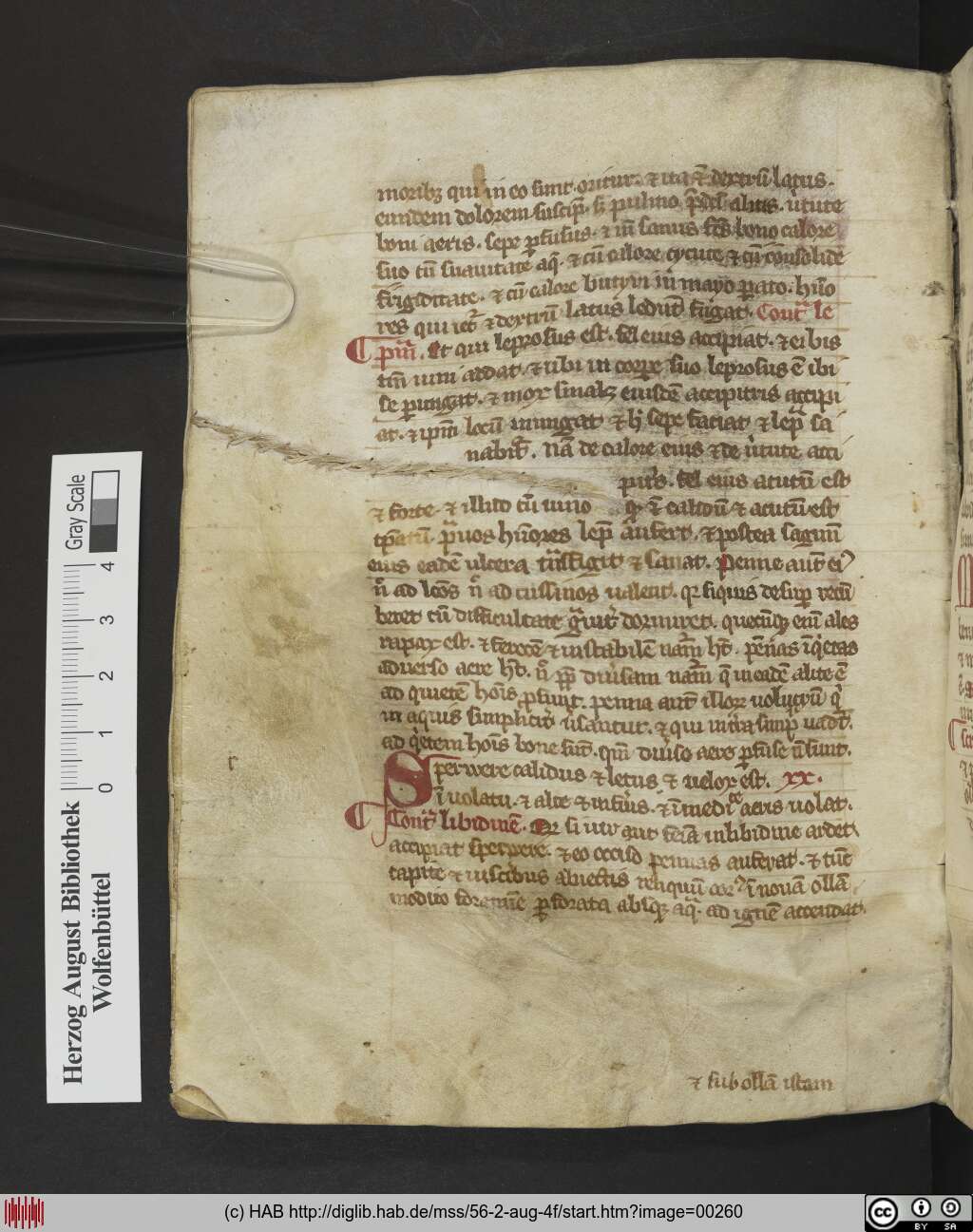http://diglib.hab.de/mss/56-2-aug-4f/00260.jpg