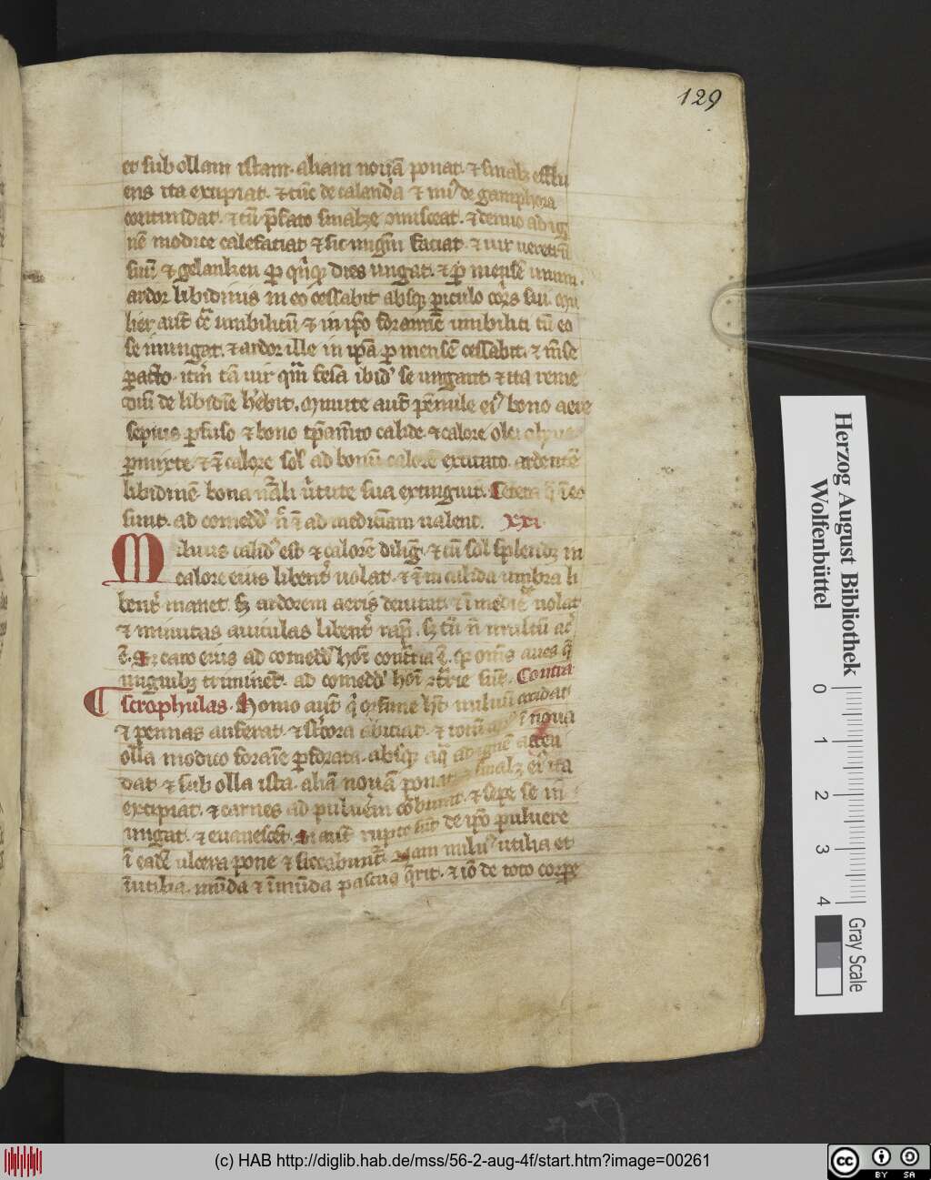 http://diglib.hab.de/mss/56-2-aug-4f/00261.jpg