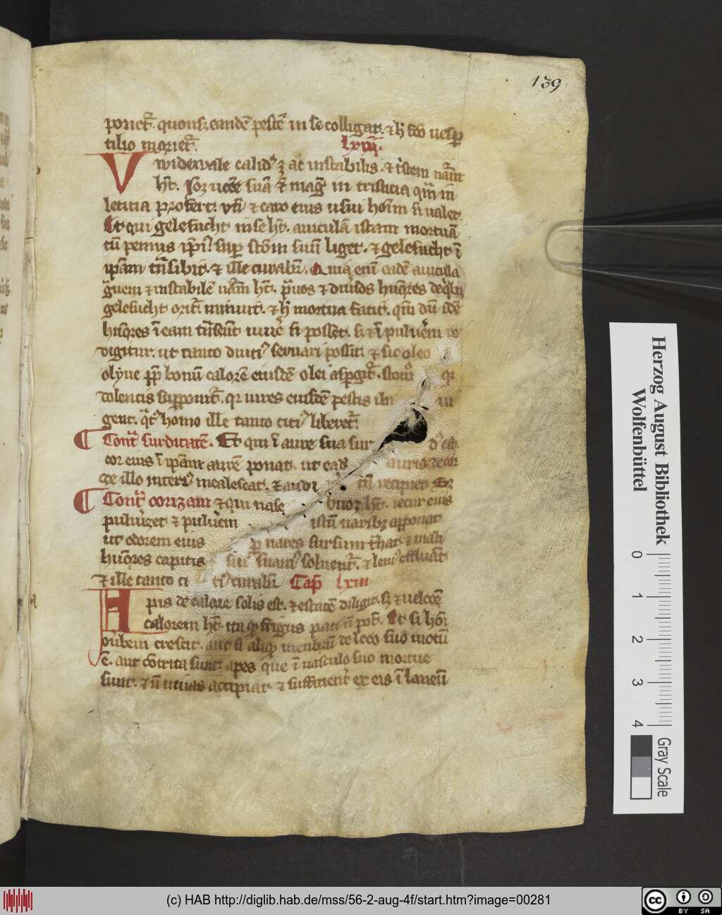 http://diglib.hab.de/mss/56-2-aug-4f/00281.jpg