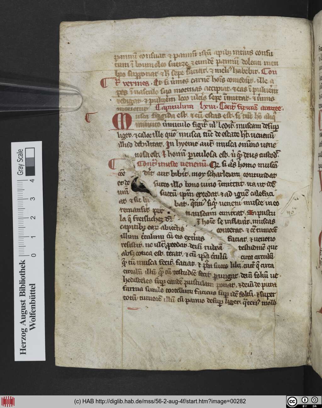 http://diglib.hab.de/mss/56-2-aug-4f/00282.jpg