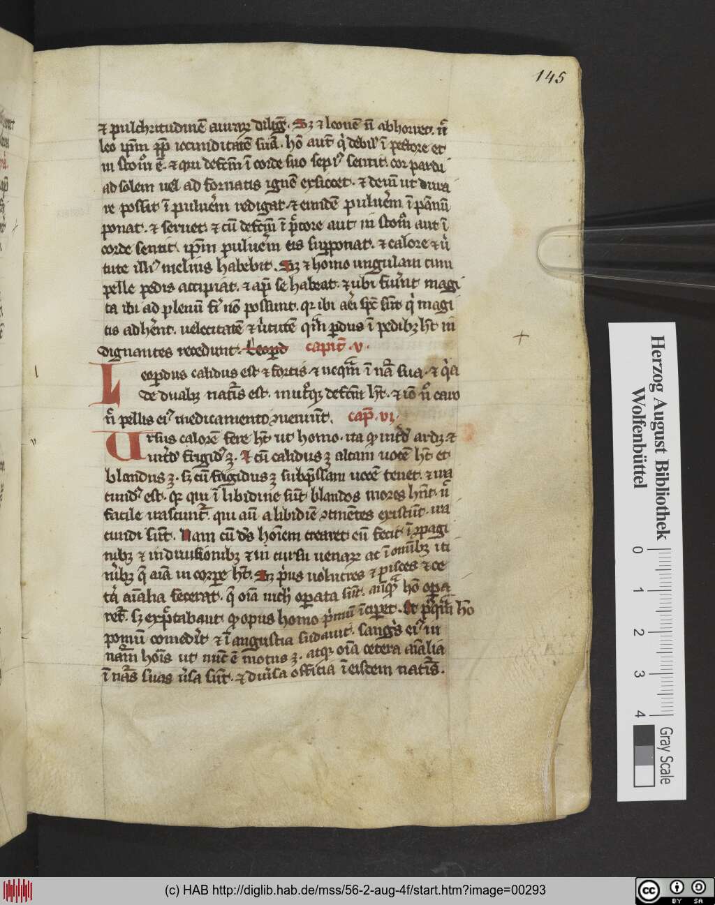 http://diglib.hab.de/mss/56-2-aug-4f/00293.jpg
