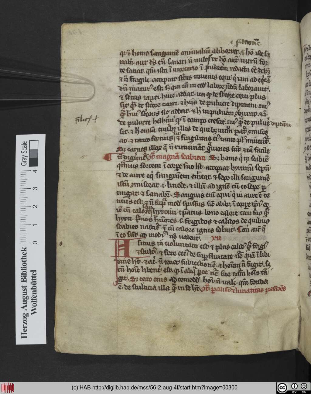 http://diglib.hab.de/mss/56-2-aug-4f/00300.jpg