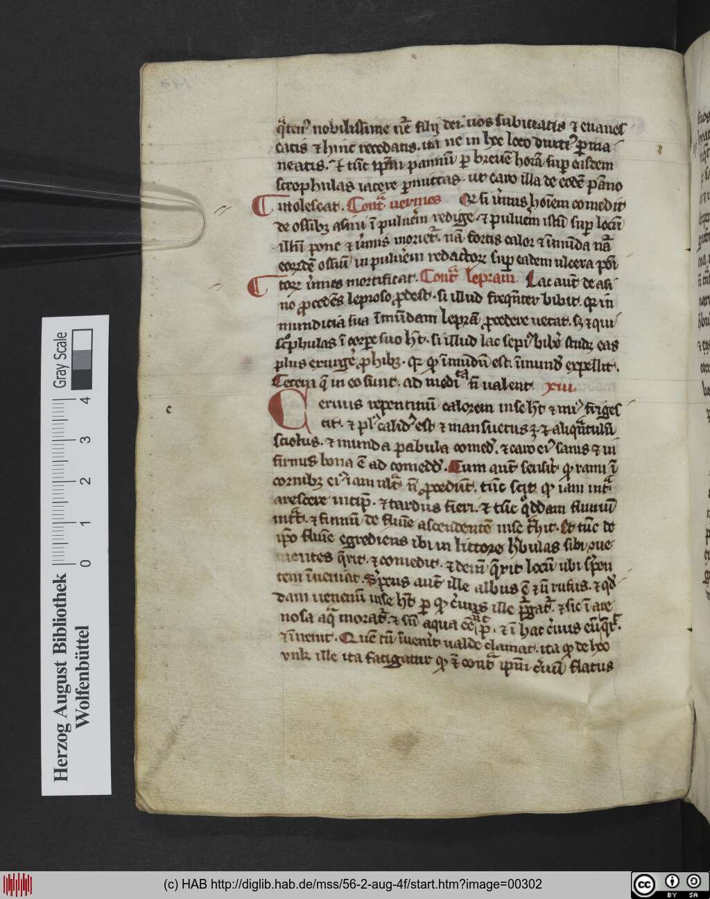 http://diglib.hab.de/mss/56-2-aug-4f/00302.jpg