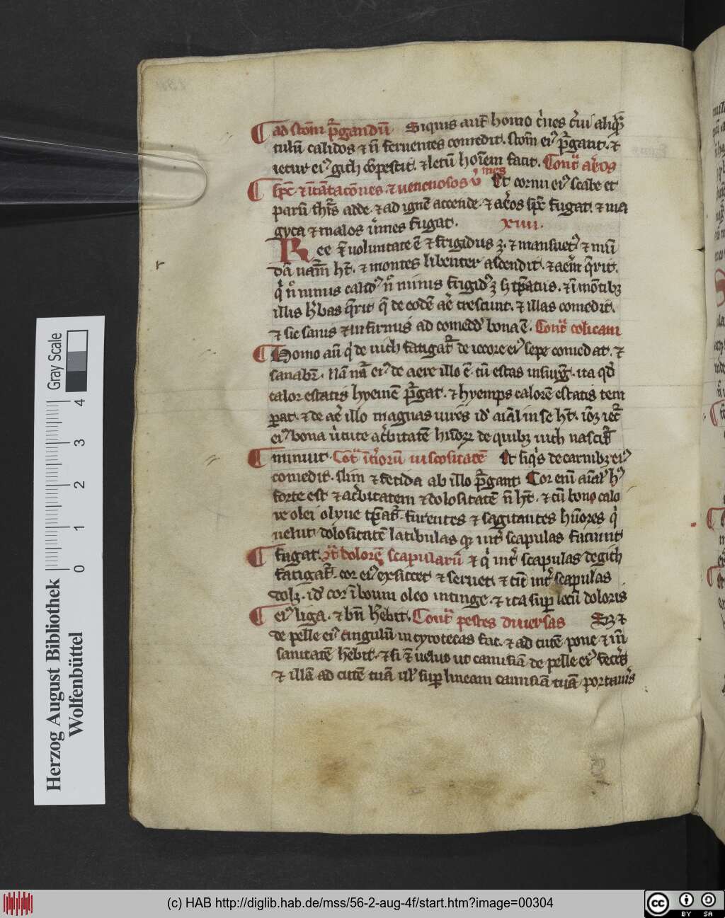 http://diglib.hab.de/mss/56-2-aug-4f/00304.jpg