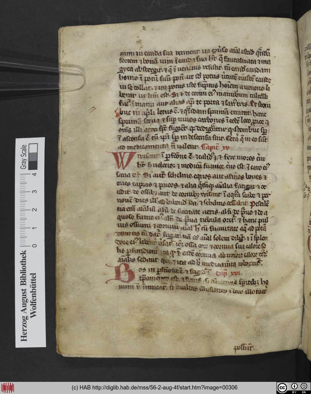 http://diglib.hab.de/mss/56-2-aug-4f/00306.jpg