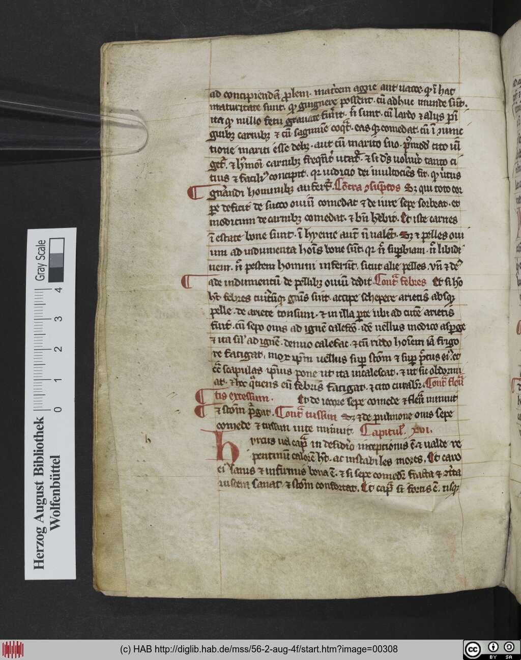 http://diglib.hab.de/mss/56-2-aug-4f/00308.jpg