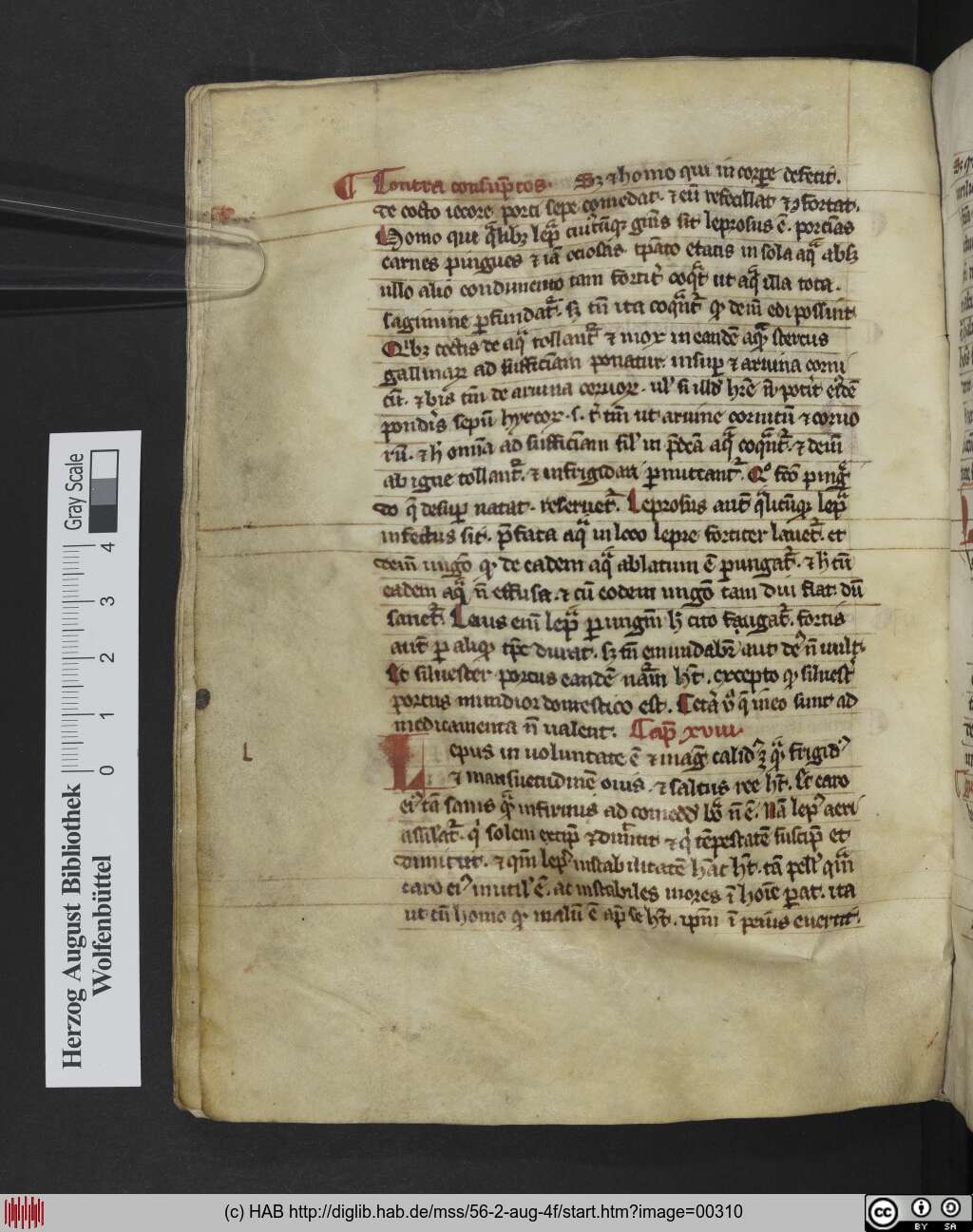 http://diglib.hab.de/mss/56-2-aug-4f/00310.jpg