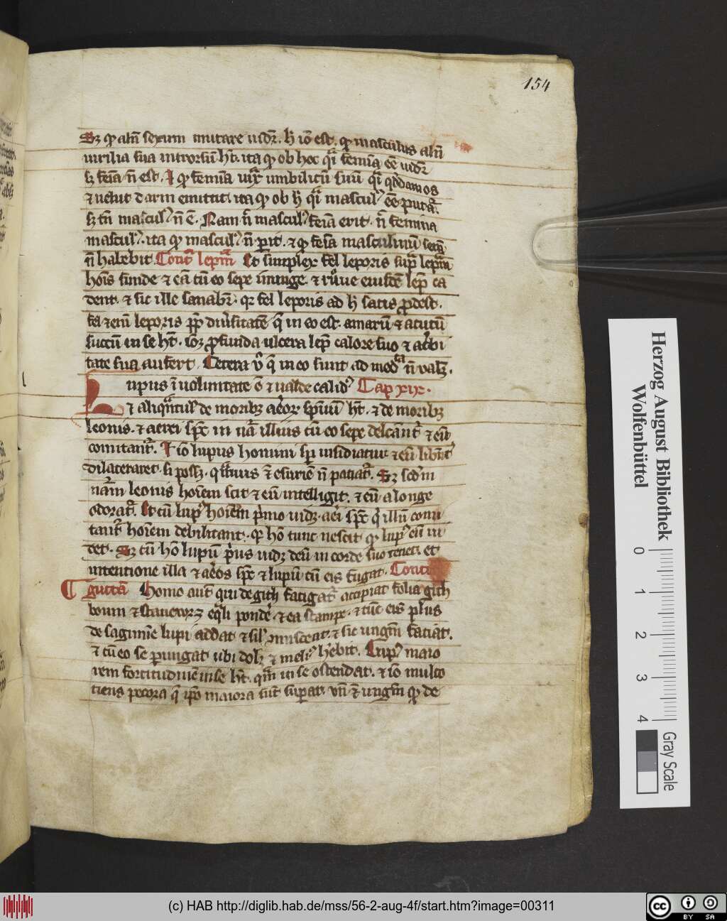http://diglib.hab.de/mss/56-2-aug-4f/00311.jpg