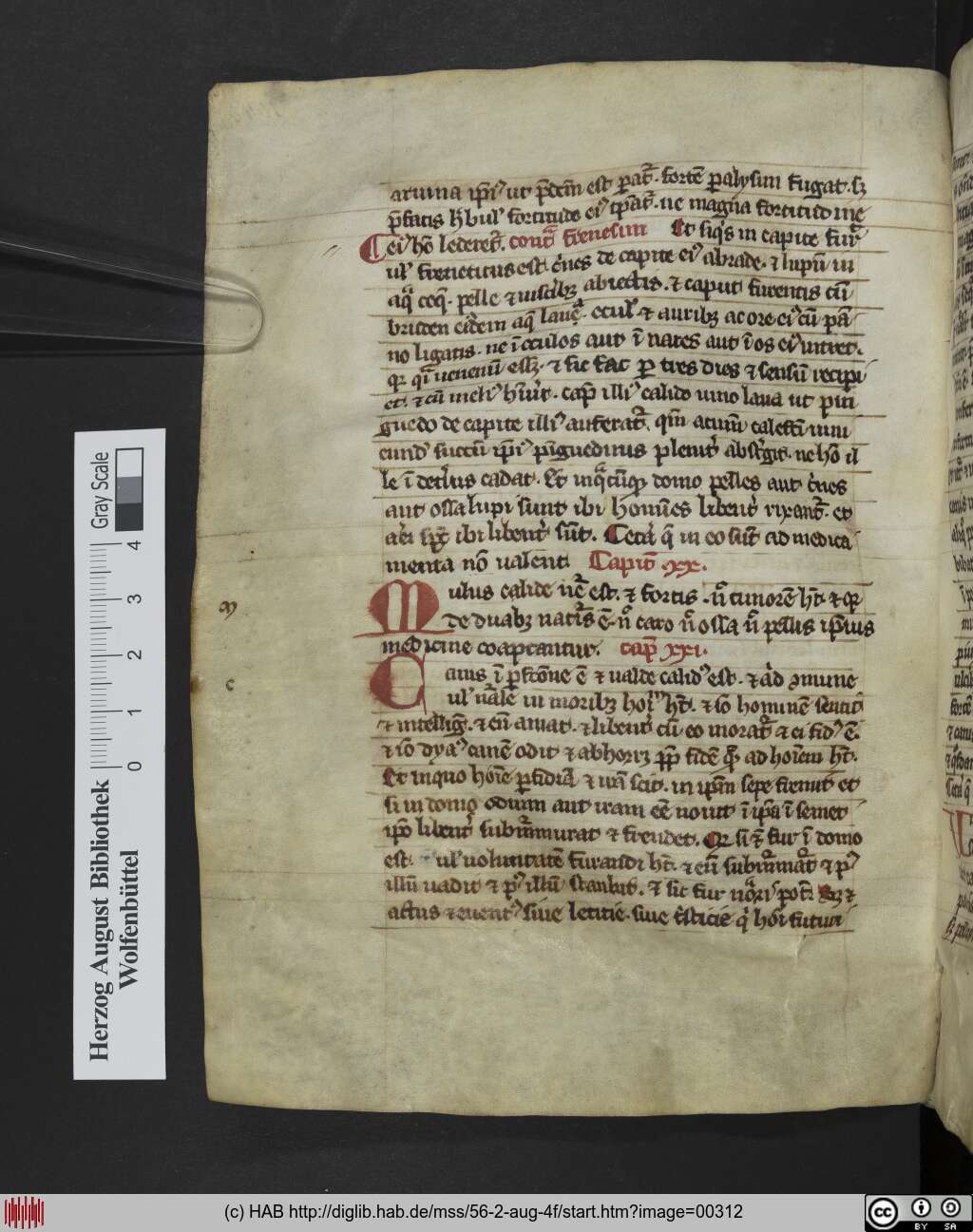 http://diglib.hab.de/mss/56-2-aug-4f/00312.jpg