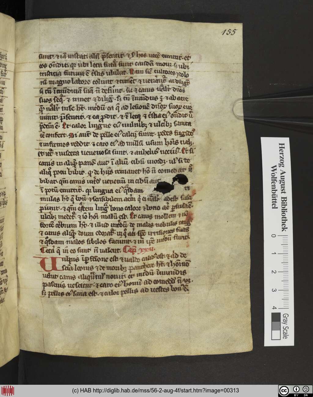 http://diglib.hab.de/mss/56-2-aug-4f/00313.jpg