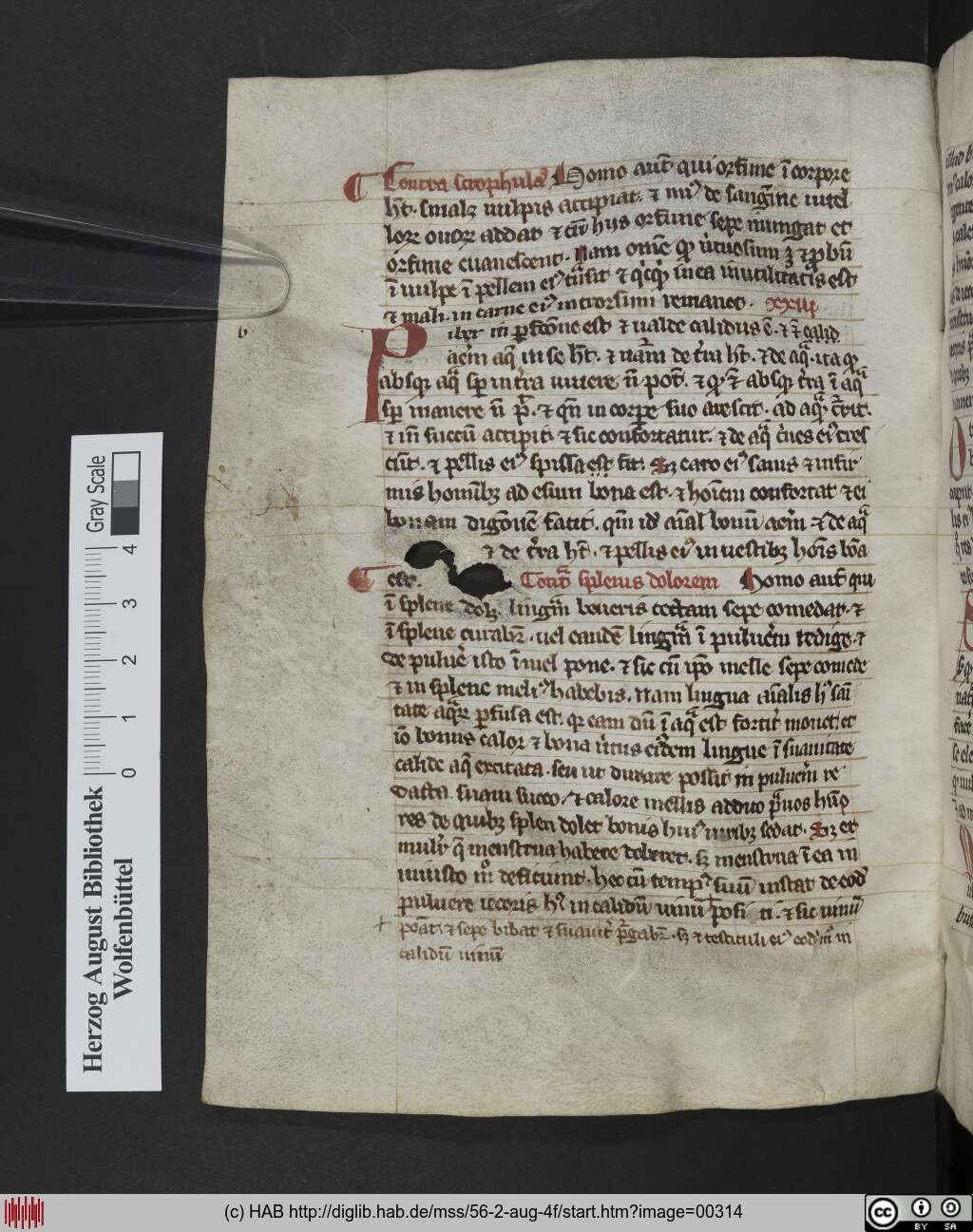 http://diglib.hab.de/mss/56-2-aug-4f/00314.jpg