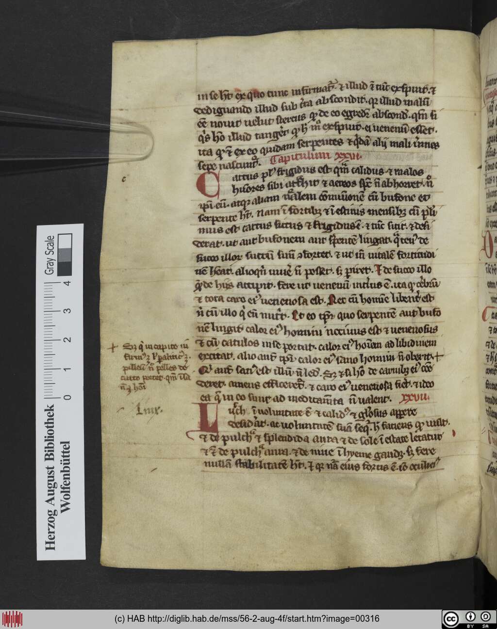 http://diglib.hab.de/mss/56-2-aug-4f/00316.jpg