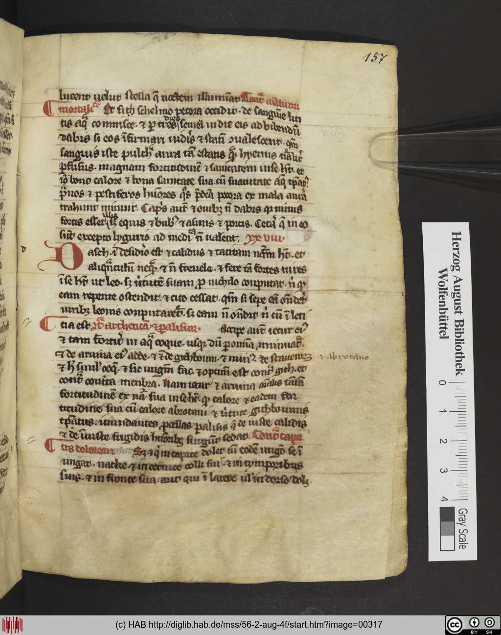 http://diglib.hab.de/mss/56-2-aug-4f/00317.jpg
