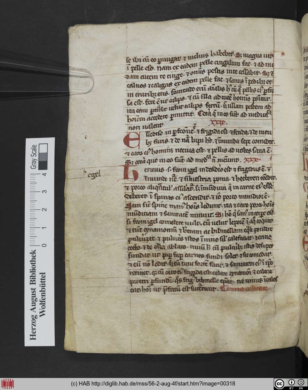 http://diglib.hab.de/mss/56-2-aug-4f/00318.jpg