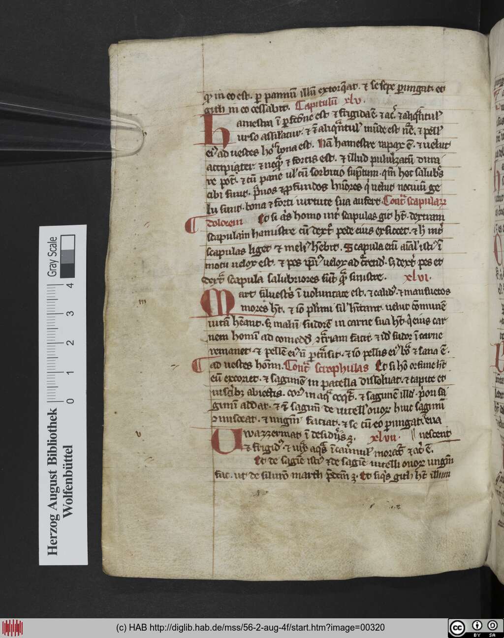 http://diglib.hab.de/mss/56-2-aug-4f/00320.jpg