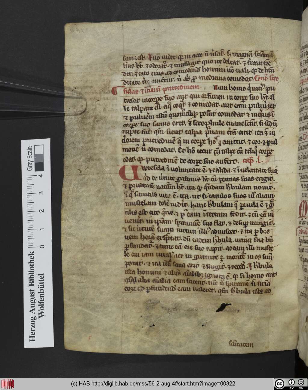 http://diglib.hab.de/mss/56-2-aug-4f/00322.jpg