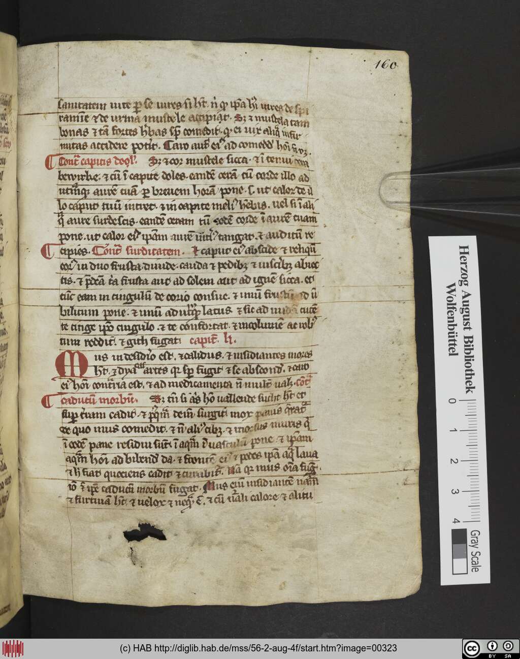 http://diglib.hab.de/mss/56-2-aug-4f/00323.jpg
