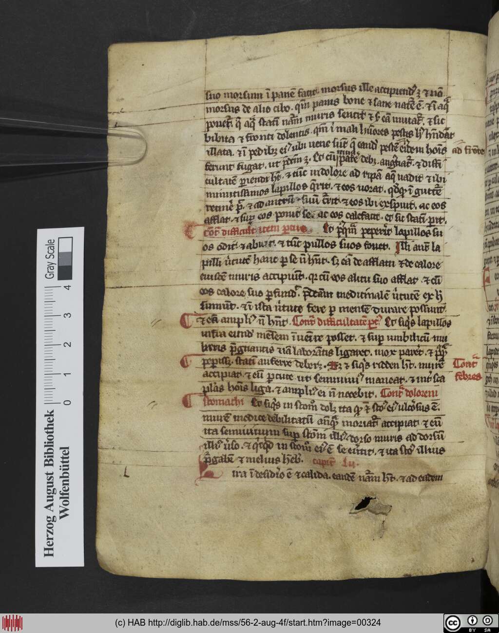 http://diglib.hab.de/mss/56-2-aug-4f/00324.jpg