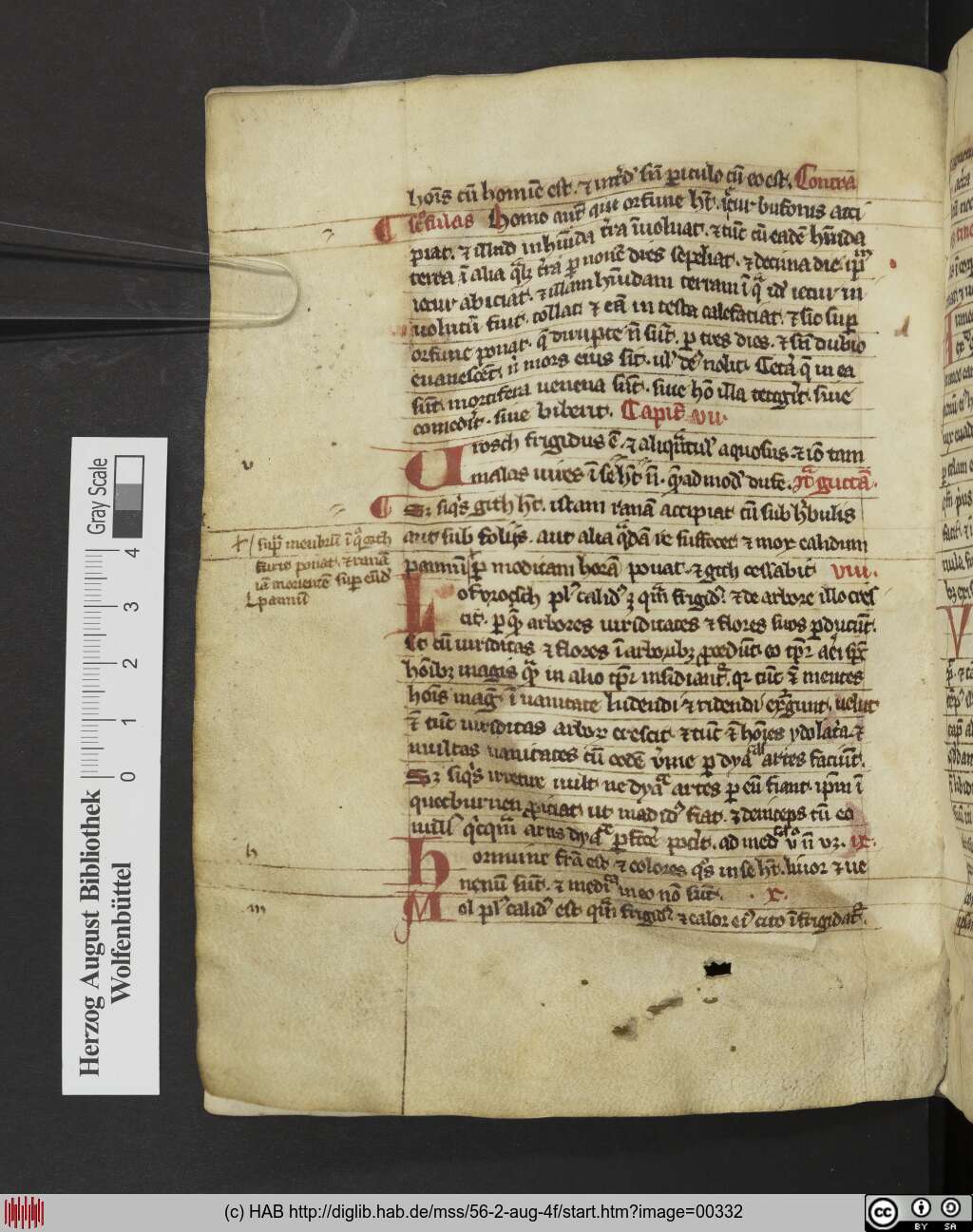 http://diglib.hab.de/mss/56-2-aug-4f/00332.jpg