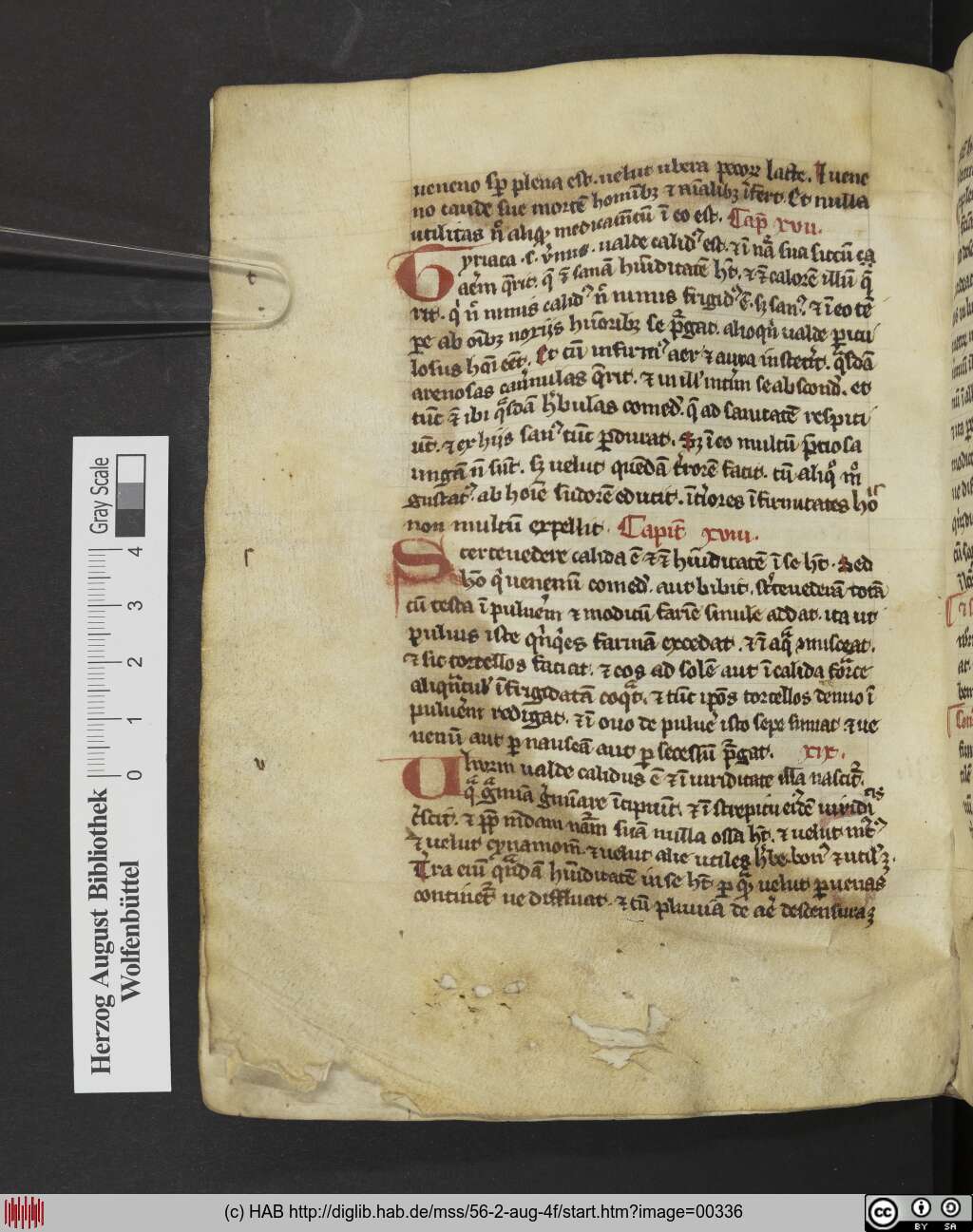 http://diglib.hab.de/mss/56-2-aug-4f/00336.jpg