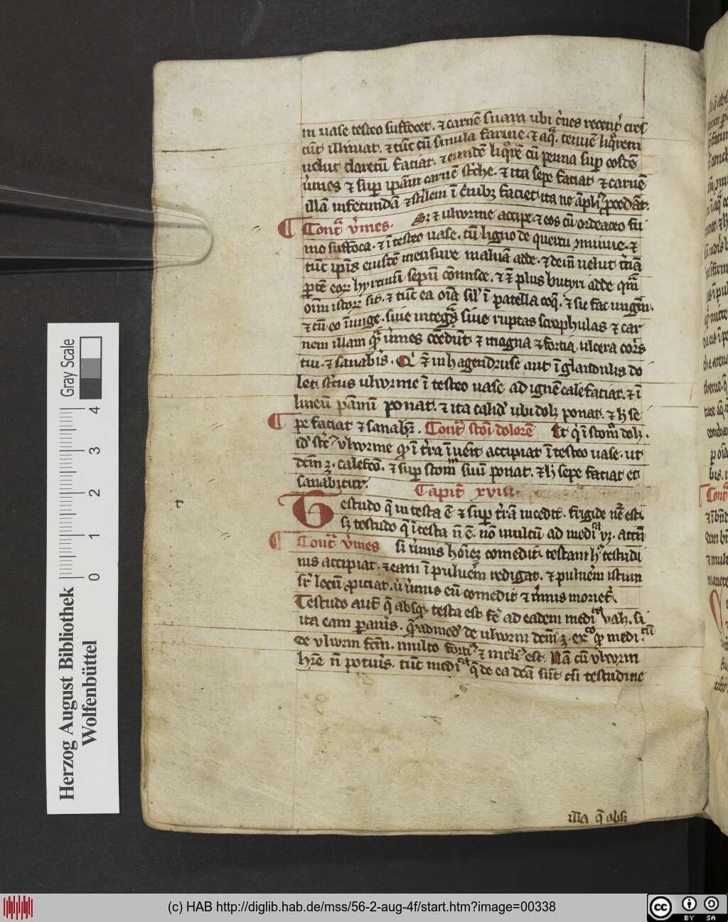 http://diglib.hab.de/mss/56-2-aug-4f/00338.jpg