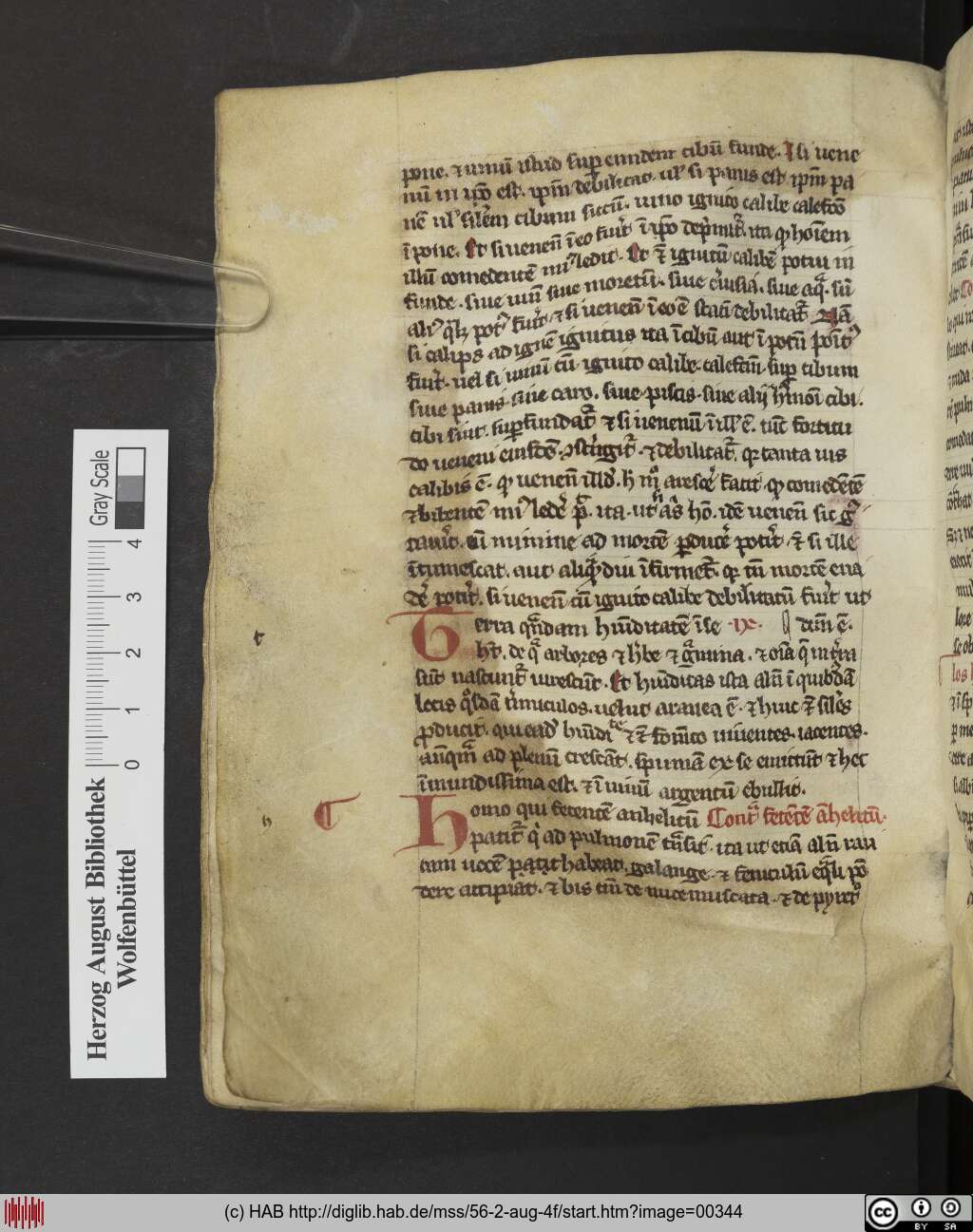 http://diglib.hab.de/mss/56-2-aug-4f/00344.jpg