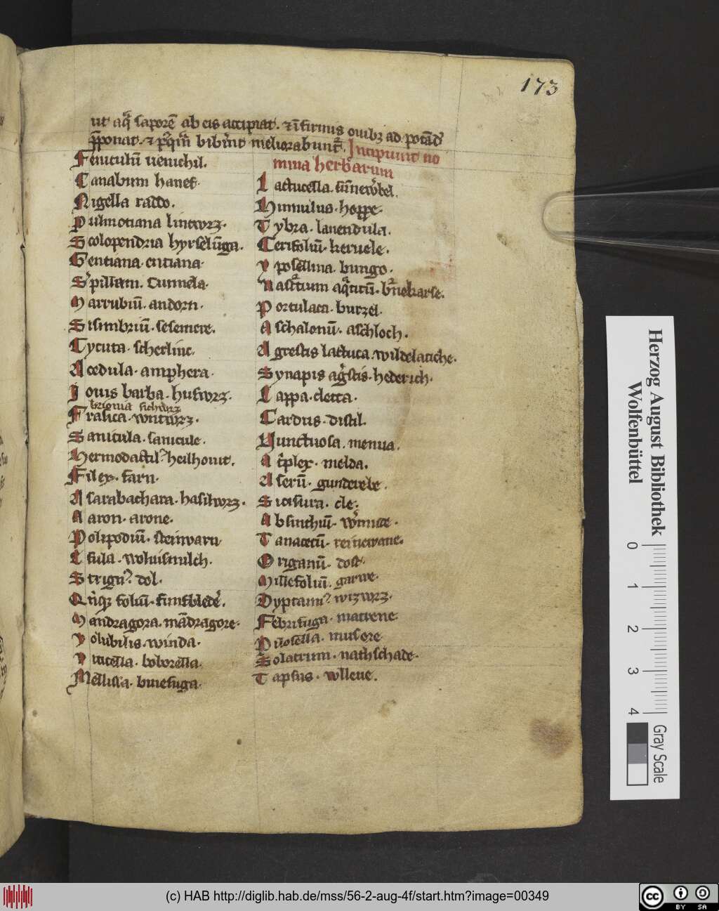 http://diglib.hab.de/mss/56-2-aug-4f/00349.jpg