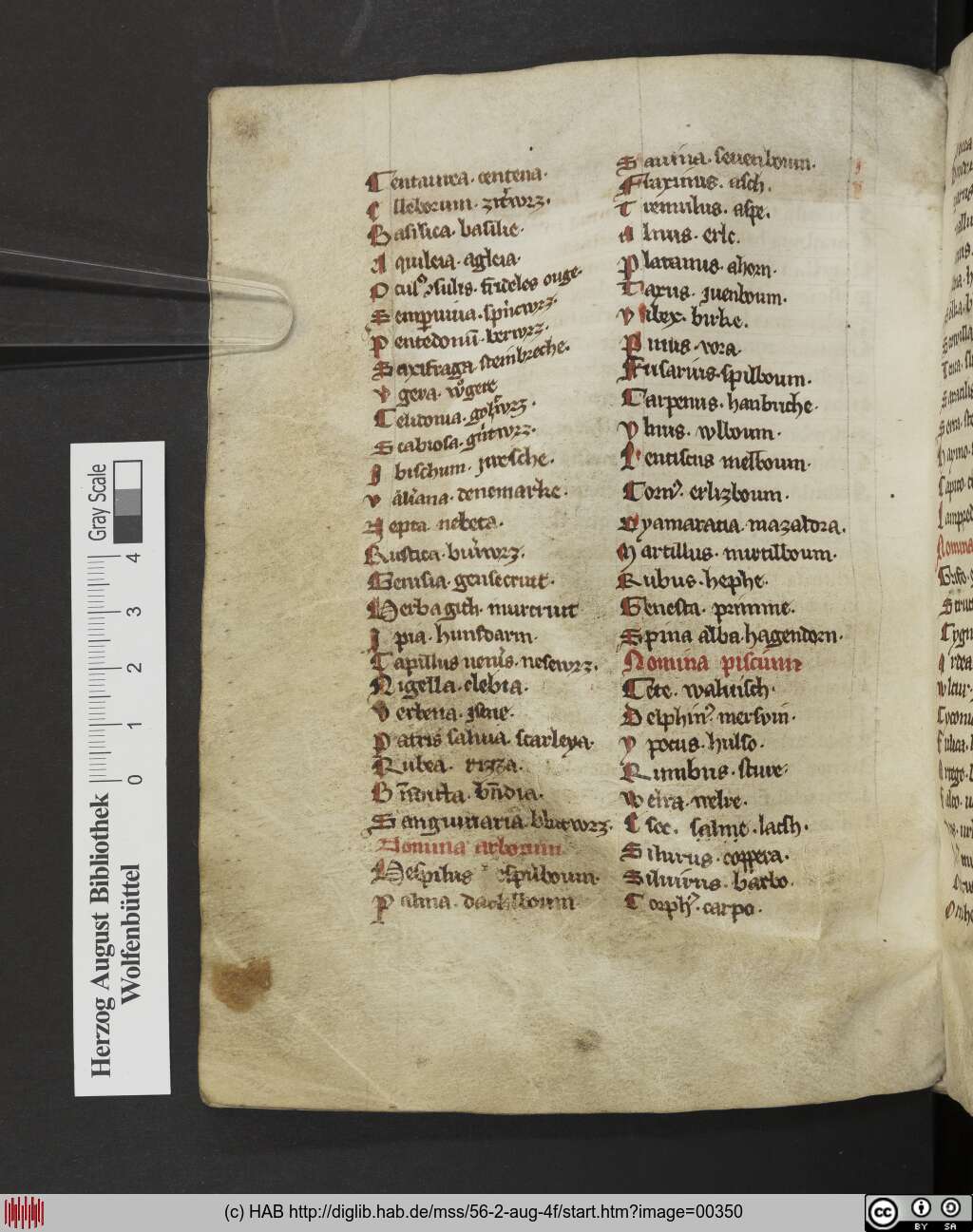 http://diglib.hab.de/mss/56-2-aug-4f/00350.jpg