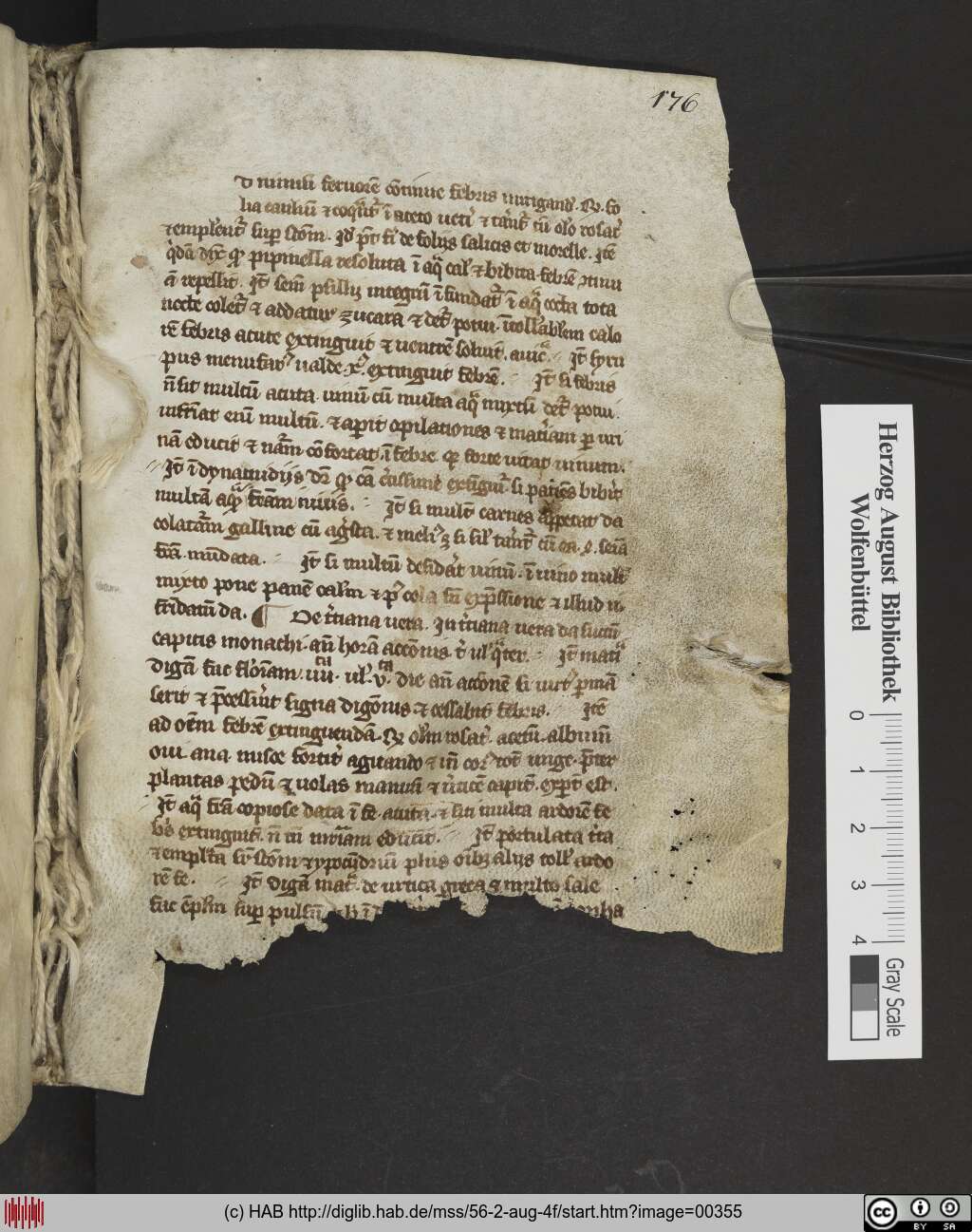 http://diglib.hab.de/mss/56-2-aug-4f/00355.jpg