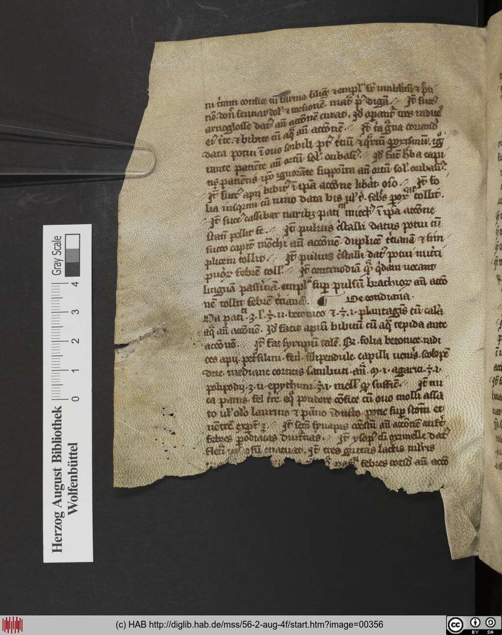 http://diglib.hab.de/mss/56-2-aug-4f/00356.jpg