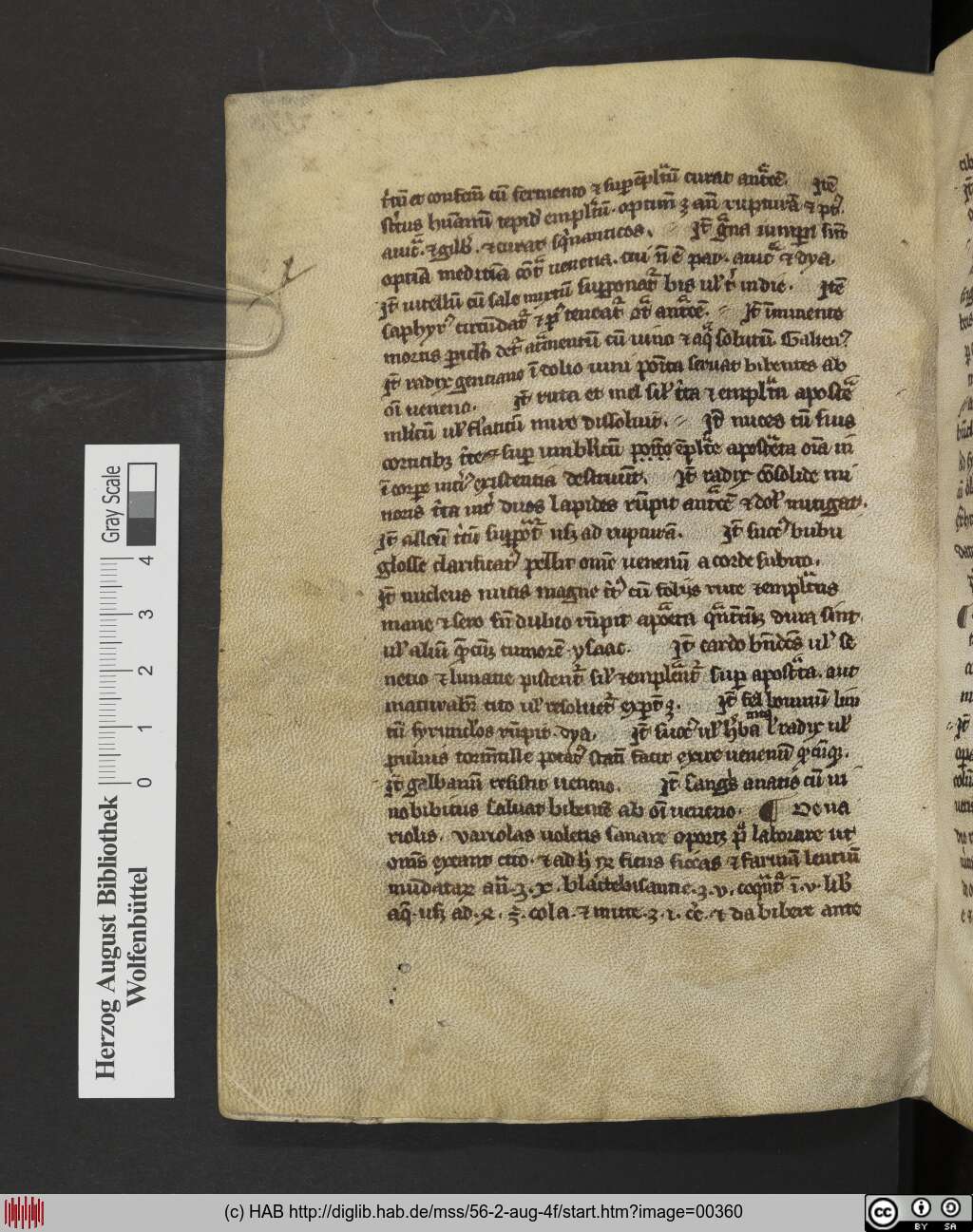 http://diglib.hab.de/mss/56-2-aug-4f/00360.jpg