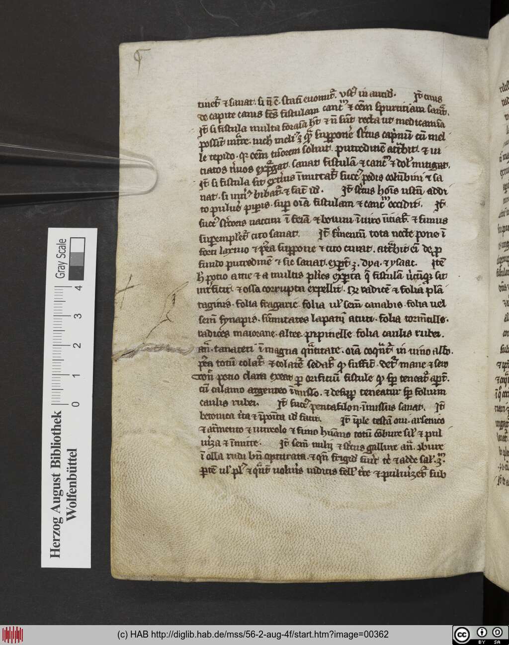 http://diglib.hab.de/mss/56-2-aug-4f/00362.jpg