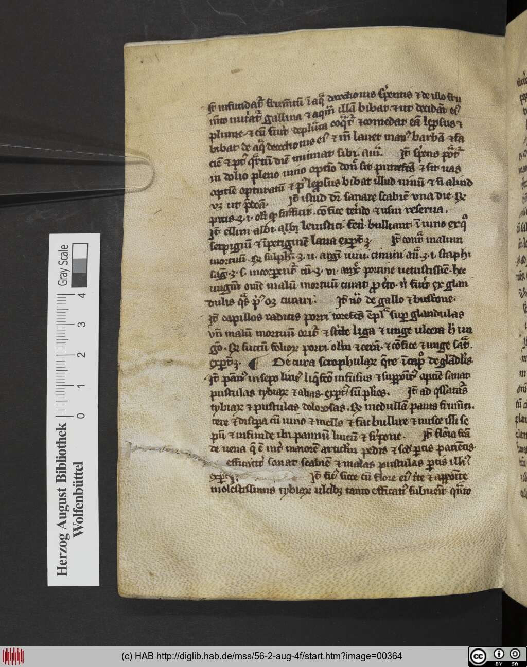 http://diglib.hab.de/mss/56-2-aug-4f/00364.jpg