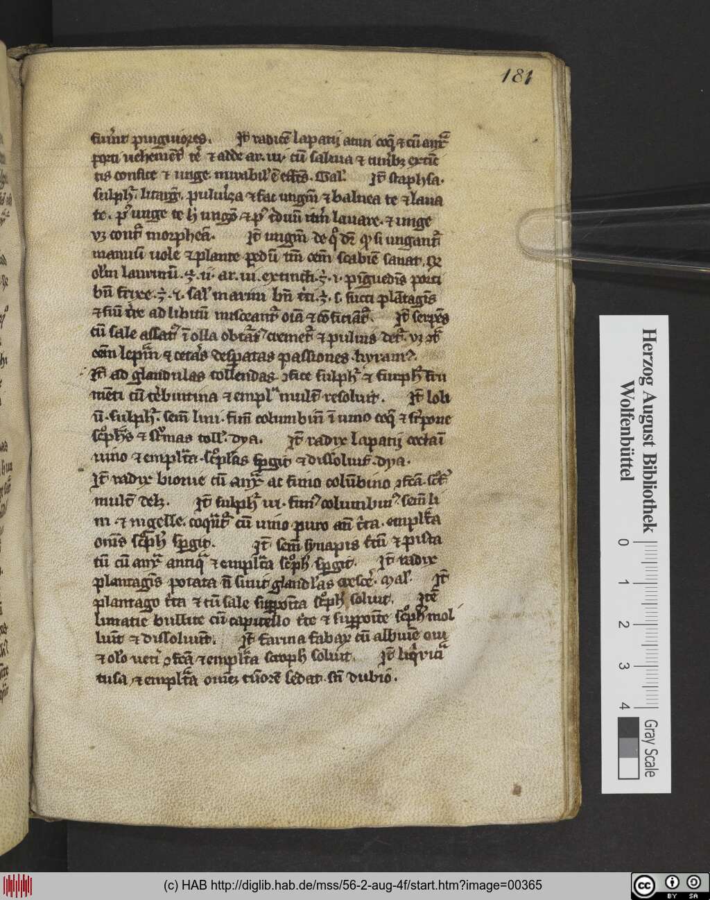 http://diglib.hab.de/mss/56-2-aug-4f/00365.jpg