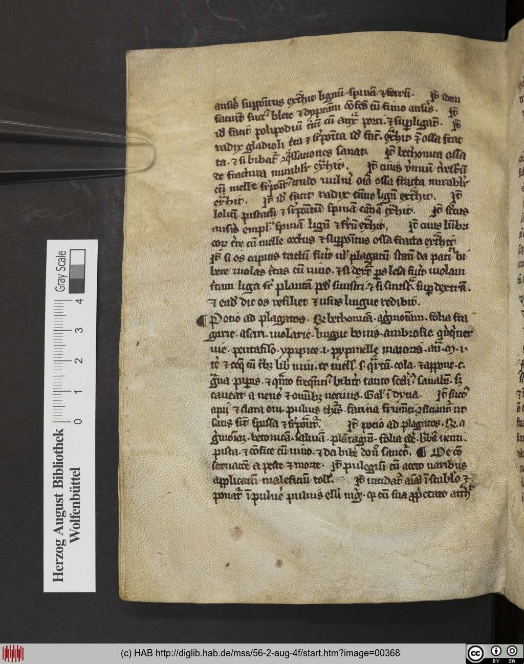 http://diglib.hab.de/mss/56-2-aug-4f/00368.jpg