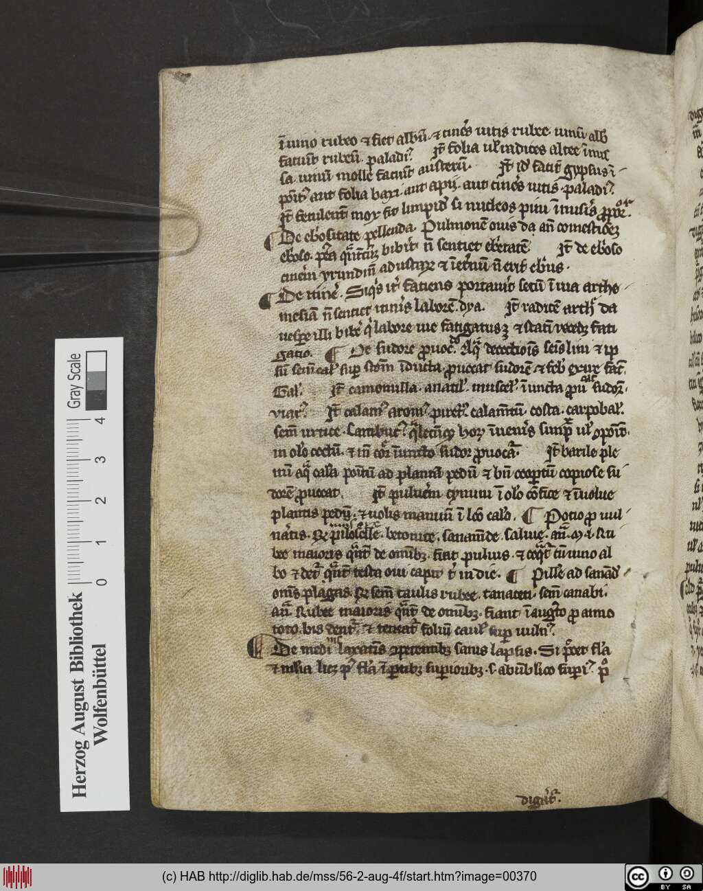 http://diglib.hab.de/mss/56-2-aug-4f/00370.jpg