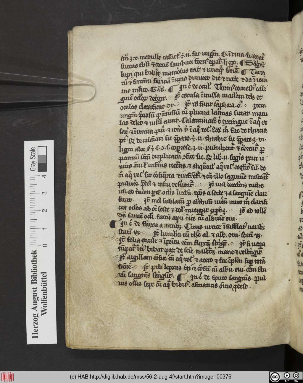 http://diglib.hab.de/mss/56-2-aug-4f/00376.jpg