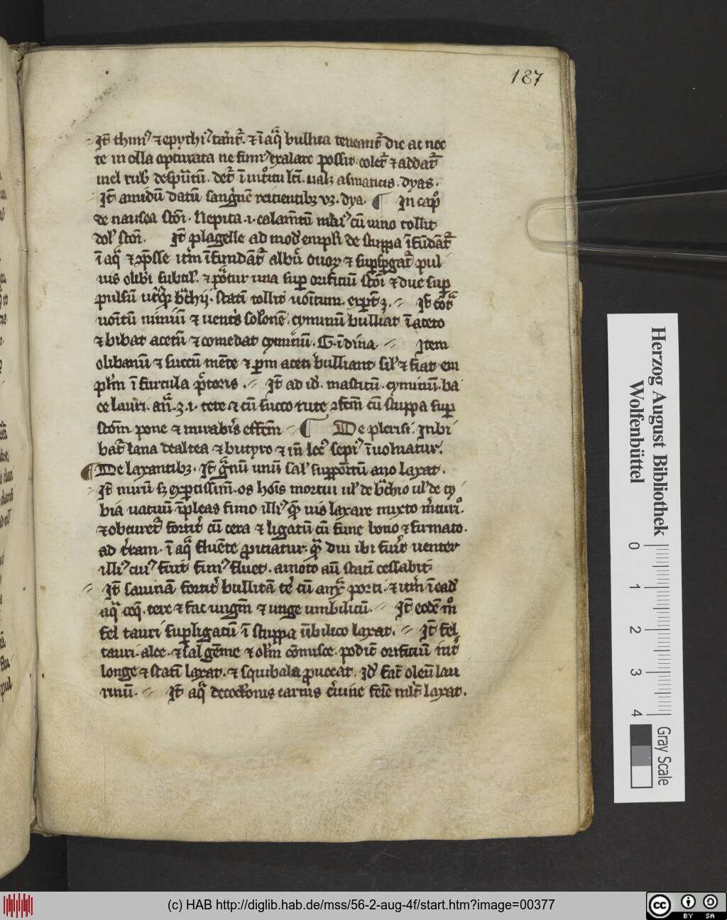 http://diglib.hab.de/mss/56-2-aug-4f/00377.jpg