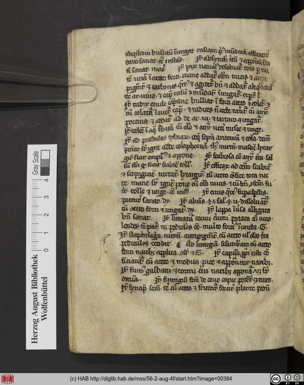 http://diglib.hab.de/mss/56-2-aug-4f/00384.jpg