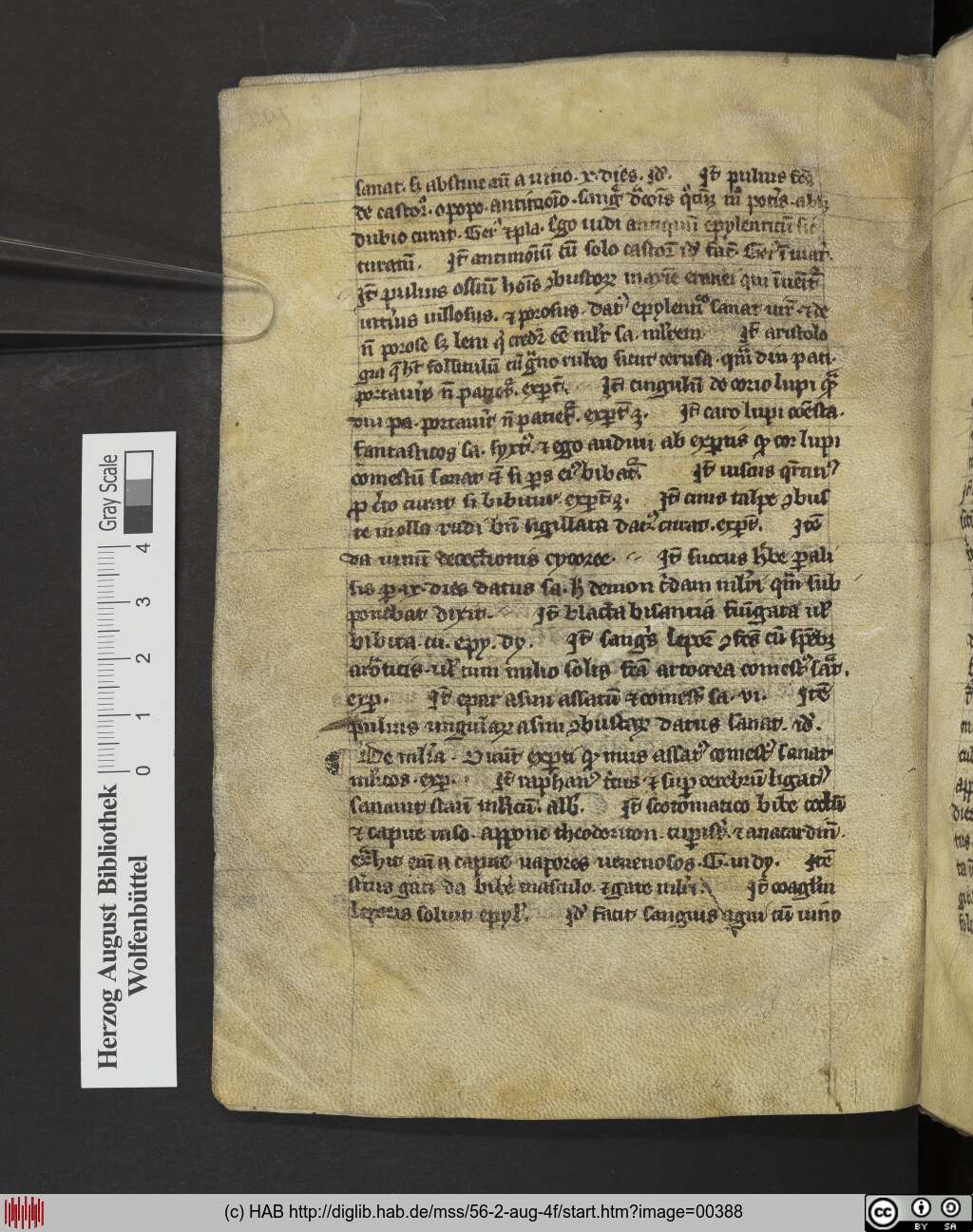 http://diglib.hab.de/mss/56-2-aug-4f/00388.jpg