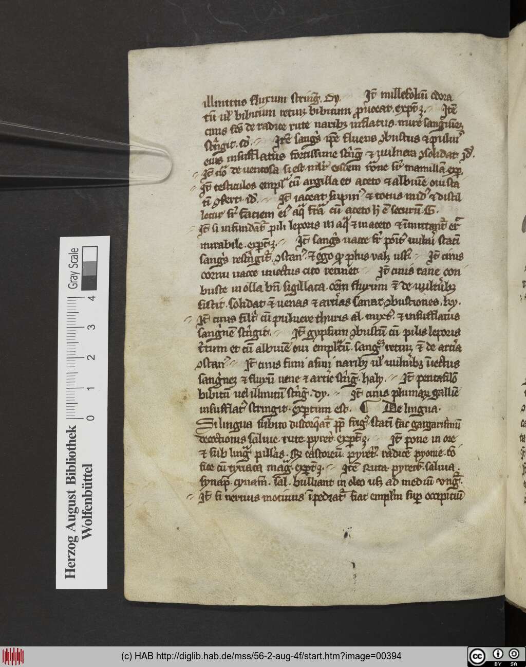 http://diglib.hab.de/mss/56-2-aug-4f/00394.jpg