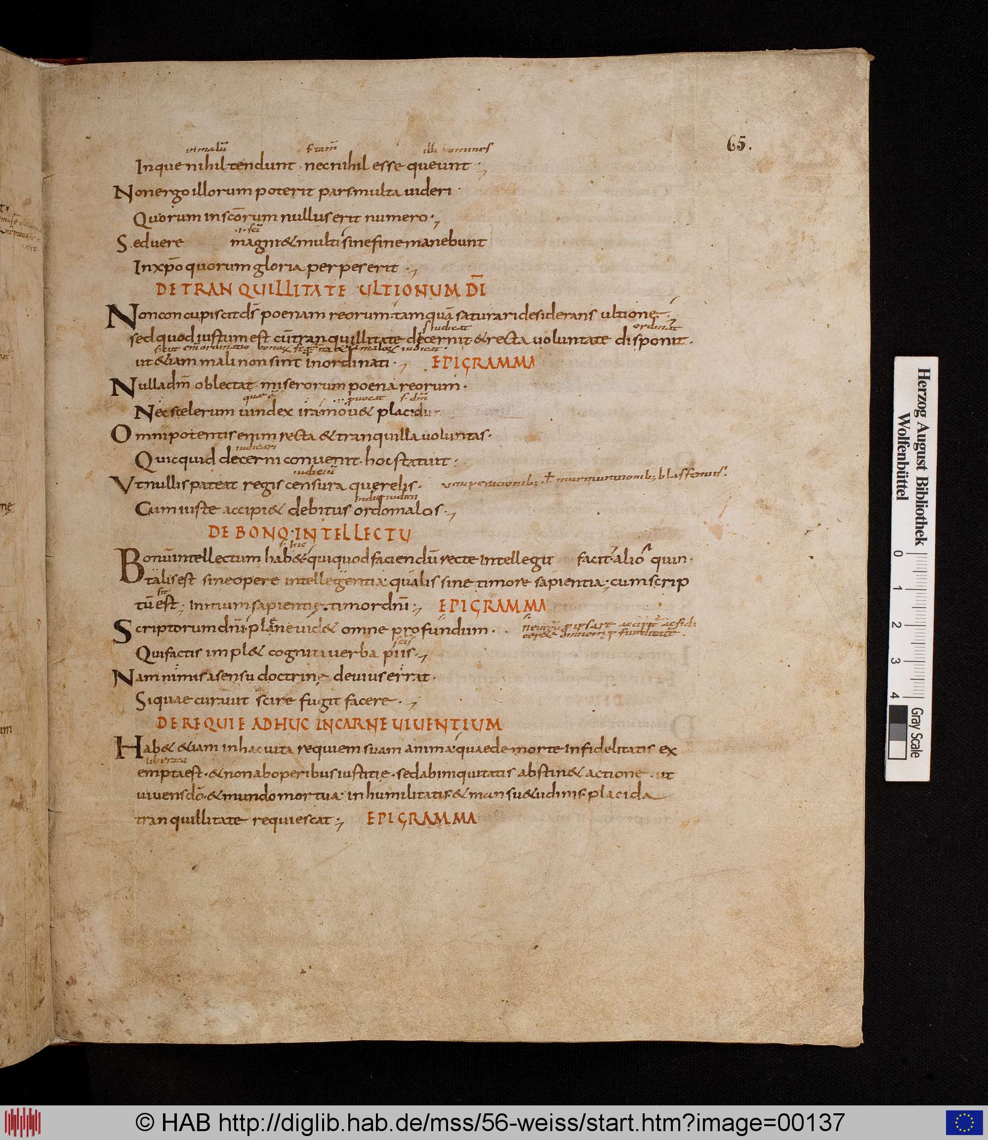 http://diglib.hab.de/mss/56-weiss/max/00137.jpg