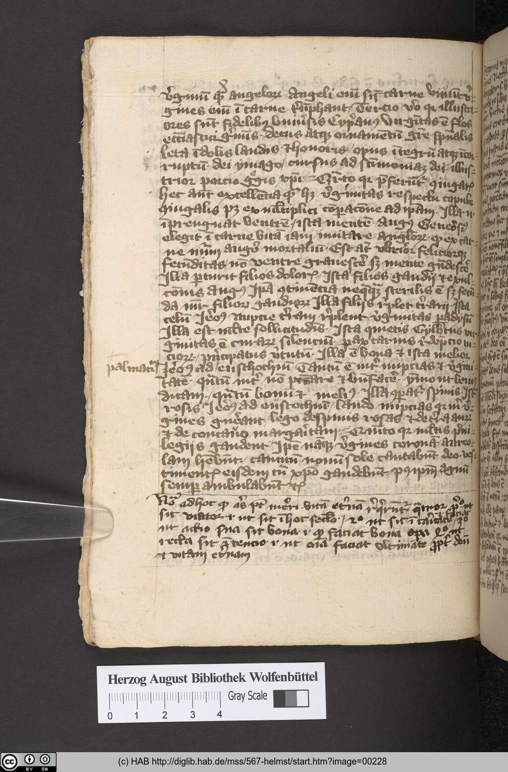 http://diglib.hab.de/mss/567-helmst/00228.jpg