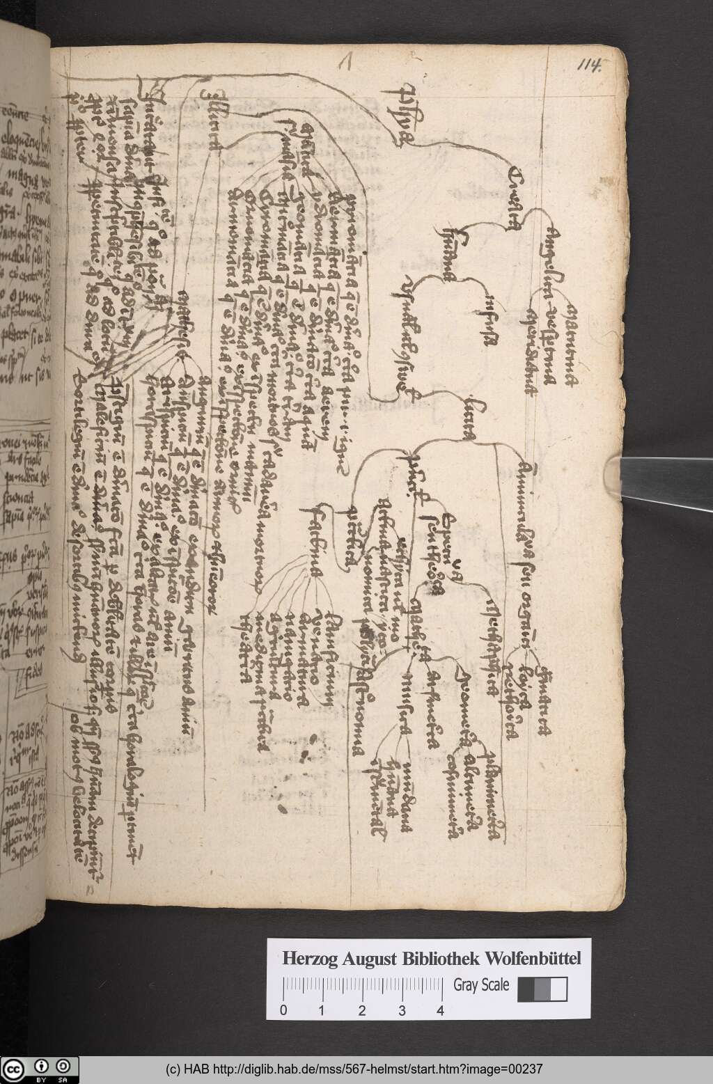 http://diglib.hab.de/mss/567-helmst/00237.jpg