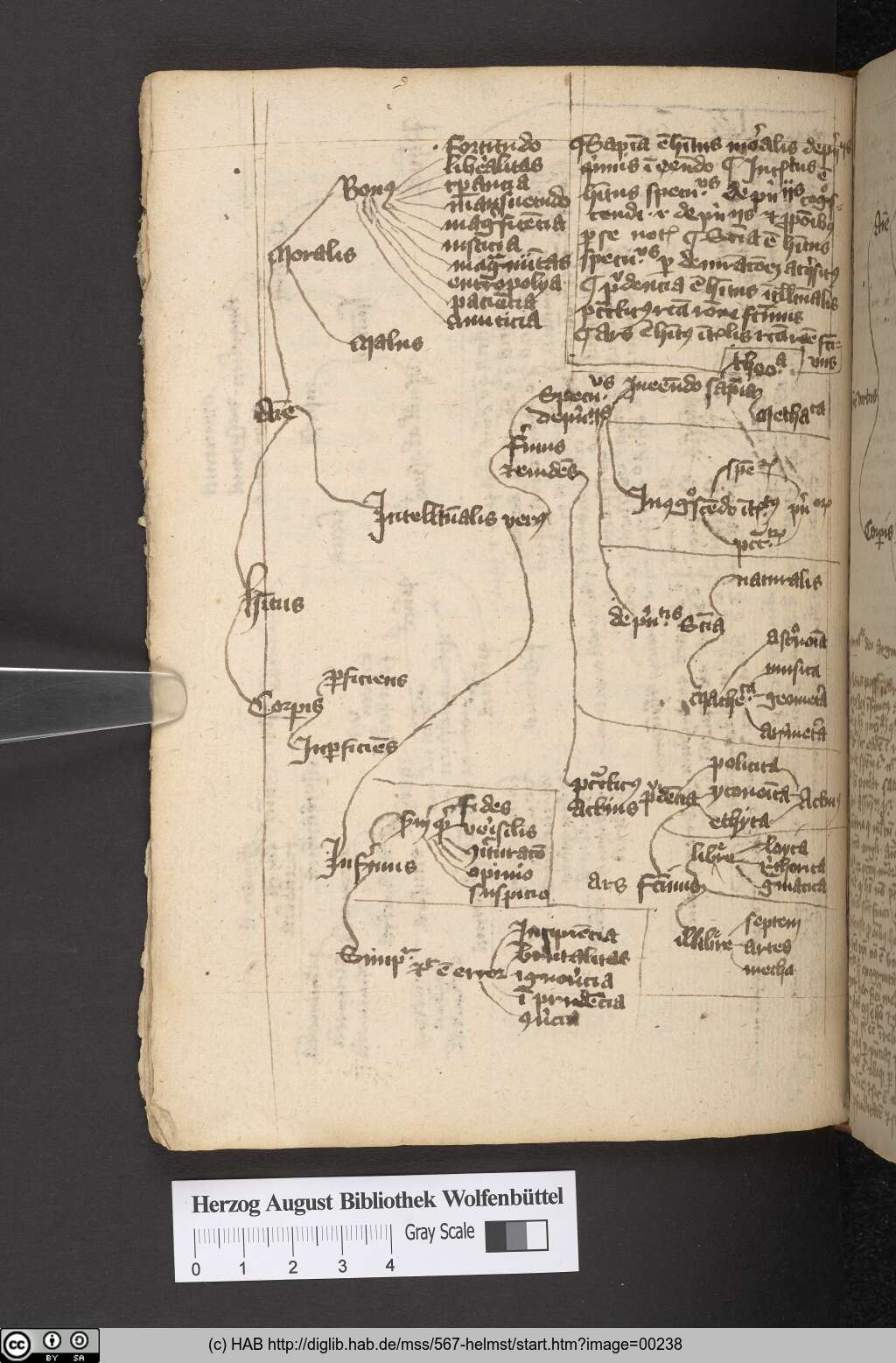 http://diglib.hab.de/mss/567-helmst/00238.jpg