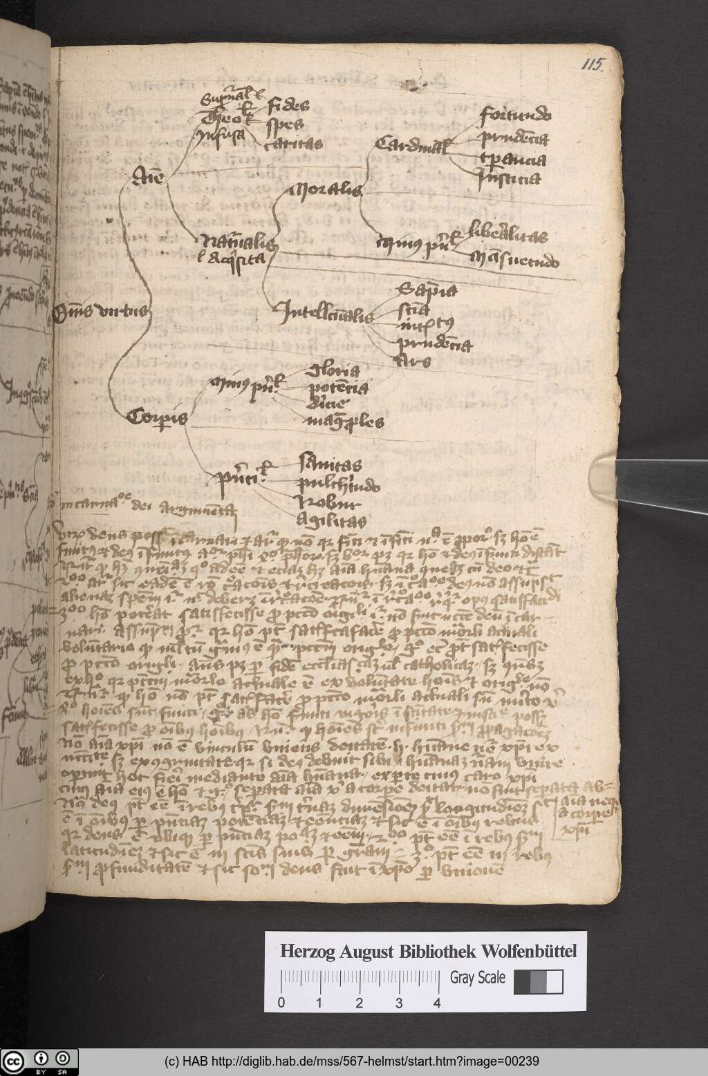http://diglib.hab.de/mss/567-helmst/00239.jpg