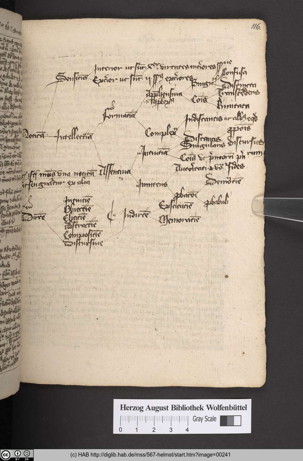 http://diglib.hab.de/mss/567-helmst/00241.jpg