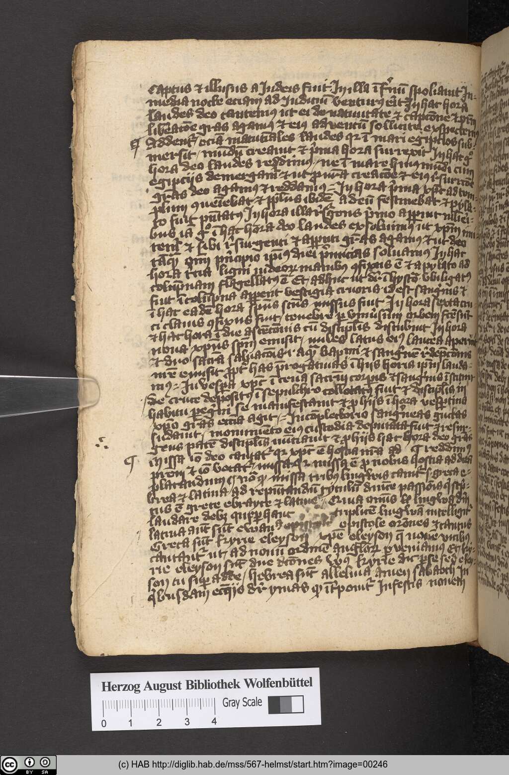 http://diglib.hab.de/mss/567-helmst/00246.jpg